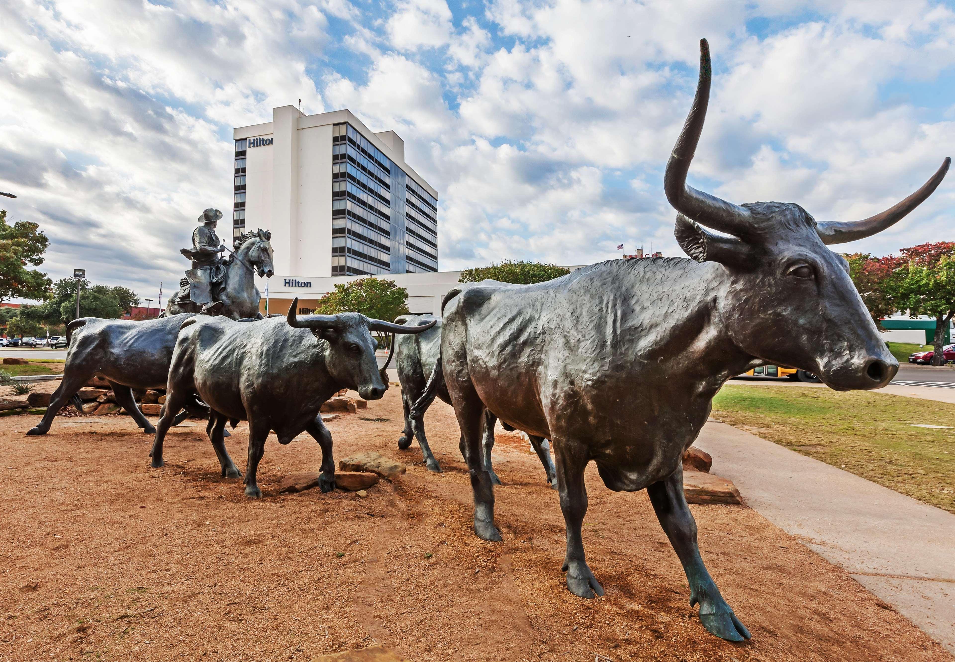 Hotel Hilton Waco Zewnętrze zdjęcie